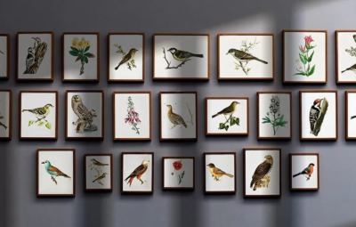 PS 动作 | 62张植物窗户网格阴影效果!