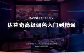 达芬奇中文入门到精通教程DaVinci Resolve