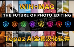 Topaz Ai全套汉化软件(8套全)全家桶【WIN+MAC】