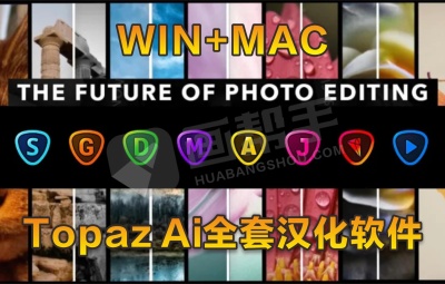 Topaz Ai全套汉化软件(8套全)全家桶【WIN+MAC】