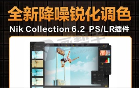 PS/LR插件 Nik Collection 6.2全新版Nik降噪锐化调色