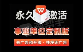 WPS最新激活版 无广告 无会员 政企版合集!含插件+安卓+电脑+金山PDF工具箱!