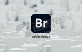 最强图像管理 Bridge 2025 v15.0.3 正式版来了,可联动PS 2025修图,好用到起飞!