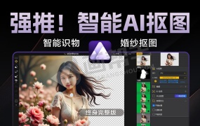 真神强推!AIArty 一键AI抠图更换背景 V2.5!智能识物 婚纱抠图 轻松实现发丝级别抠图换背景