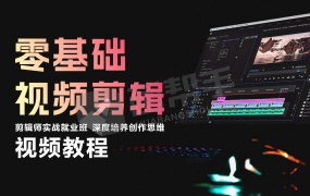 【剪辑教程】零基础剪辑到大师 实战导向 高薪就业直通车
