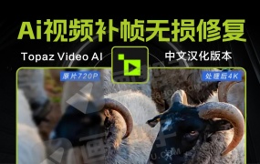 Topaz Video AI 7.2.0.1.b win/mac 最新中文汉化 新款星光mini无水印本地AI模型 AI超强补帧 模糊视频秒变8k超高清!