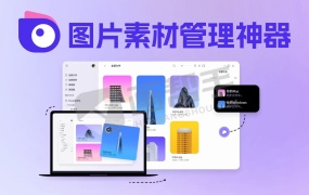 最新免费图片素材管理神器 本地资源库 无需账户 无需激活 支持win/mac