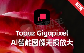 全新Topaz Gigapixel 1.0.2 最新中文汉化 专业AI智能图片无损放大 旧照片恢复 模糊变清晰 全新离线模型