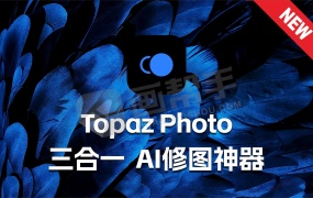 全新Topaz Photo1.0.1 win/mac 最新中文汉化 新增灰尘和划痕功能 自动模式 升级AI创成式填充+最新模型文件+PS滤镜插件
